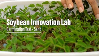 How to do a germination test - sand method