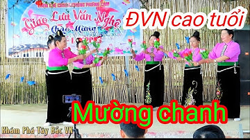 Múa Hoa ĐVN cao tuổi bản đen mường chanh múa gl tại vườn chè chong chóng phiêng cằm