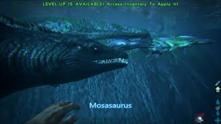 All sea monsters in Ark-smallest to largest