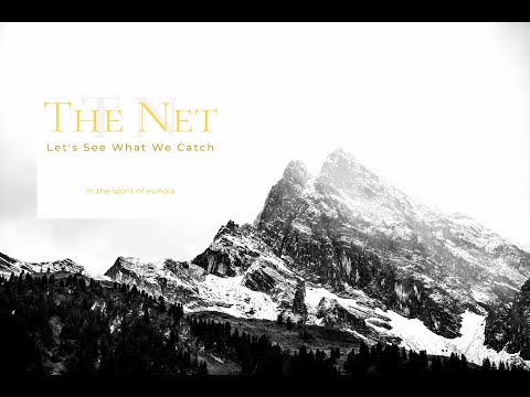 The Net (2):
