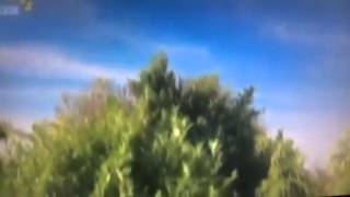Teletubbies po in a crash landing