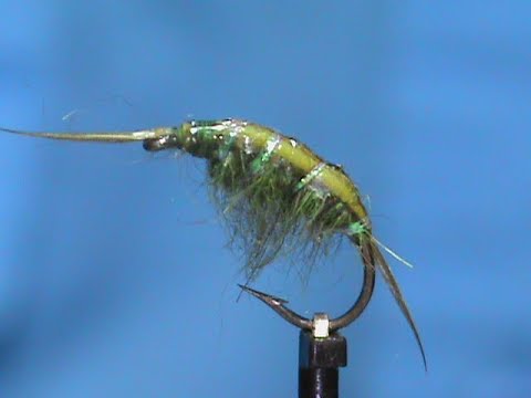 Beginner Fly Tying 