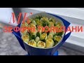 МК зефірні тюльпани
