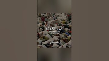 قرآن كريم بصوت صلاح بو خاطر 💖 حالات واتس قرأن ☘ تلاوة خاشعة 🍃 Quran Status💙 اية قرانية قصيره🎧❤️