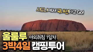🇦🇺Ep2. 붉은 사막과 첫 만남|지구의 배꼽 울룰루에서 3박4일 캠핑 시작! Uluru Camping Tour Day2 with Mulgas Adventures