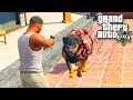 КАК ЧОП СТАЛ ЗОМБИ В ГТА 5 МОДЫ АПОКАЛИПСИС! ОБЗОР МОДА В GTA 5 - GTA 5 МОДЫ