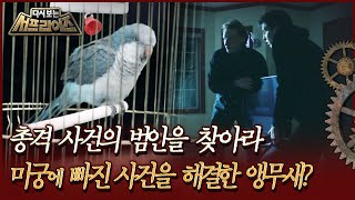 [다시보는 서프라이즈] 총격 사건의 범인을 찾아라, 미궁에 빠진 사건을 해결한 앵무새 MBC200419방송