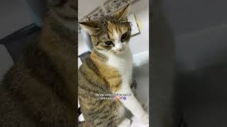 Ben Seni Yerim Ama Bakışlara Bakar Mısınız 😻 🎥 Mirendaily3 Resimi