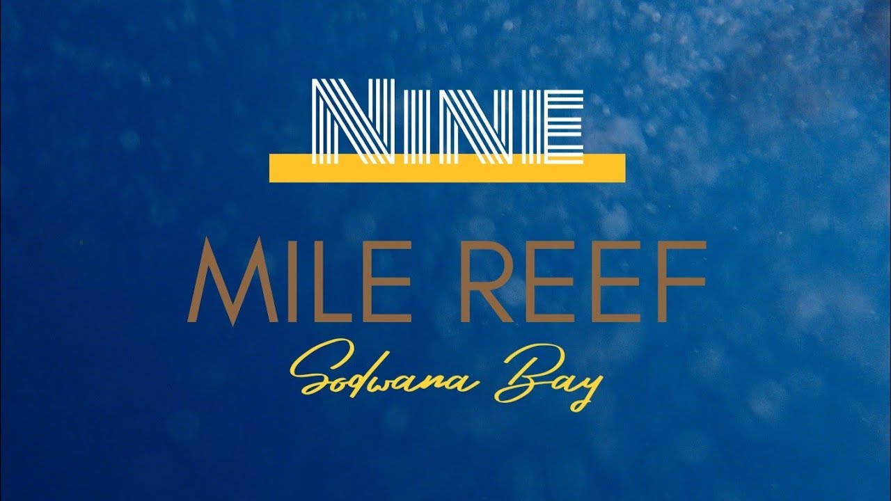 Sodwana Bay: Diving at Nine Mile Reef