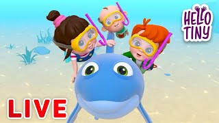 [🔴LIVE ] Baby Shark and more! | Hello Tiny Best Kids Songs and Nursery Rhymes for kids