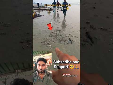 Fishermen left them