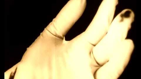 LoopUnloop Project DvdZ