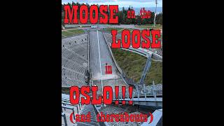DEEP DIVE into Aug '26 Norway Trip!!! - MOTL