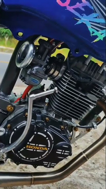 STORY WA HEREX TIGER TRONDOL ABISEKA || TRENDING TIKTOK HEREX TERBARU #herex #tiktok #storywa