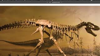 Knowledge 7 Lesson 8 (Grade 1): Dinosaurs (and multiple meaning words)