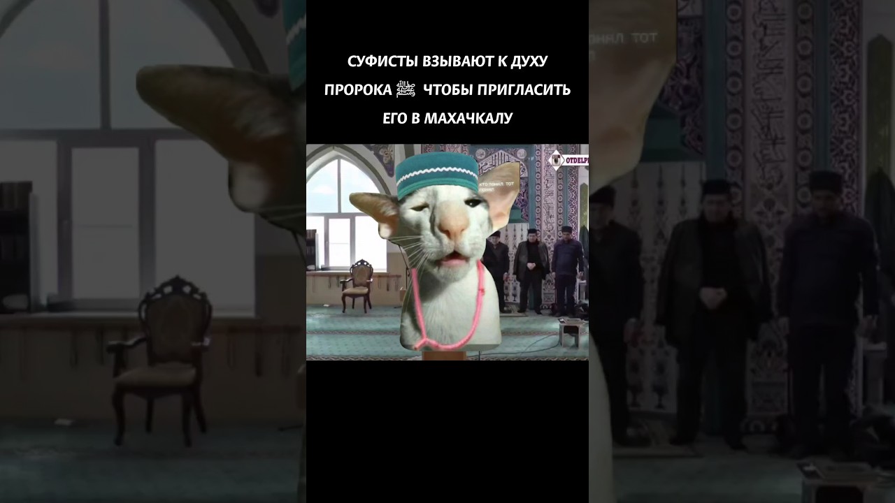 Ширк на Мавлиде