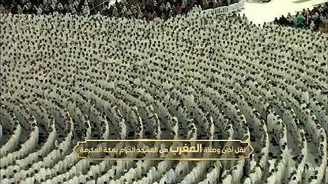 ماتيسر من سورة فصلت لـ فضيلة الشيخ #فيصل_غزاوي من صلاة المغرب ٩ صفر ١٤٤٦هـ
