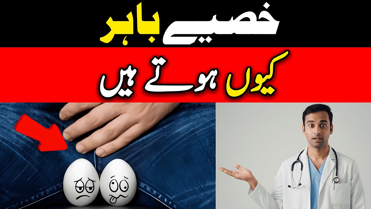 Why Are Men’s Testicles Outside The Body!