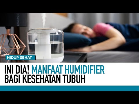 Video: Apakah dehumidifier baik untuk alergi?