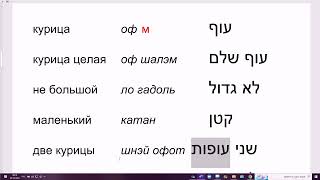 1523. Разговорная практика на иврите. Бесплатный урок. Покупаем курицу в супермаркете. Легко