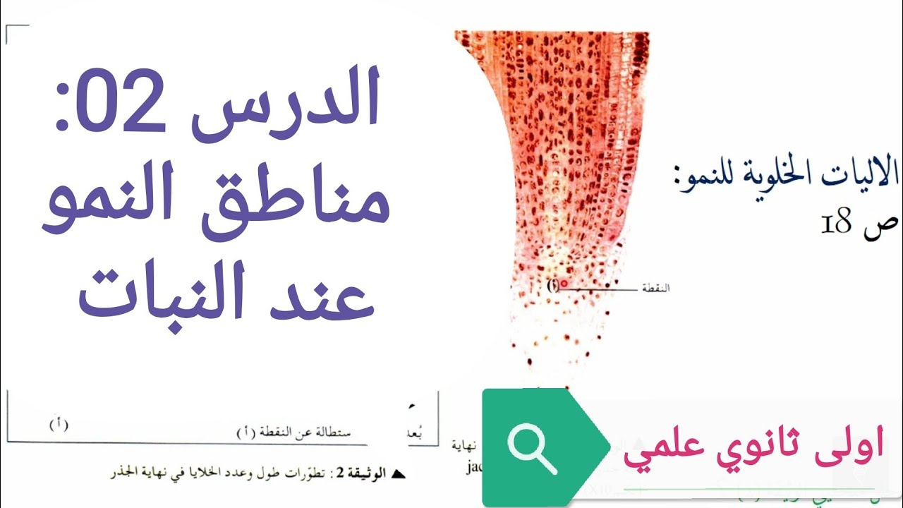 مناطق النمو عند النبات 1 ثانوي