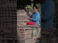 Morning chores like feeding chickens, rural life, slow life