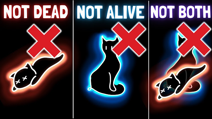 I misunderstood Schrödinger's cat for years...until now!