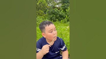 Cậu bé tốt bụng ăn kẹo xiên và cái kết hài hước #funny #shorts #short