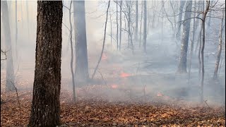Alabama Habitat Restoration Project: Prescribed Burn