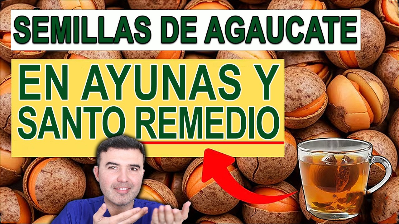 🥑 SEMILLA DEL AGUACATE PARA TODO! Prueba Sus Beneficios ( NUNCA LA BOTES)