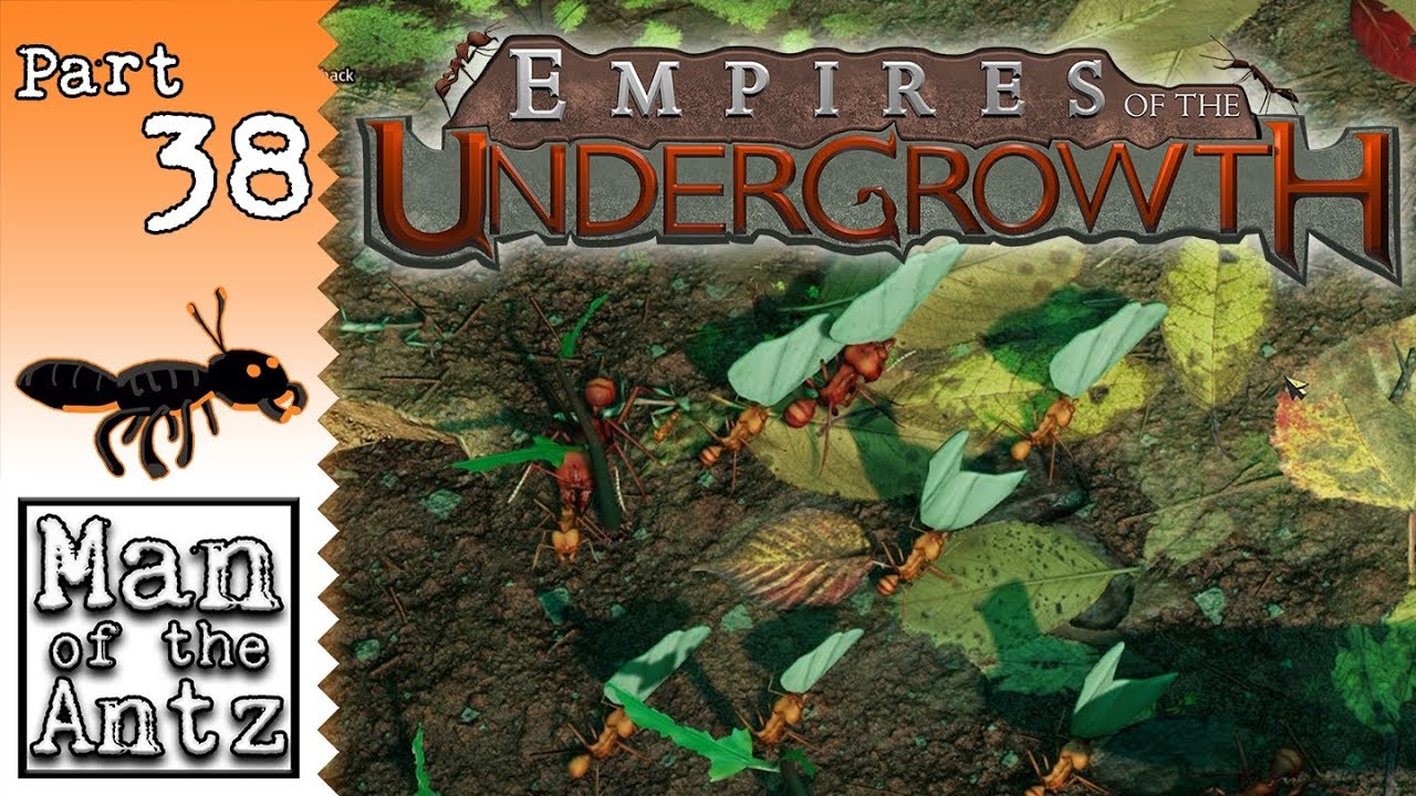 empires of the undergrowth turtle ants