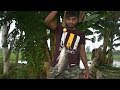 Best Fishing Video | Fishing With Hook | Catching Carpa By Hook | Daily Fishing Life part (1)