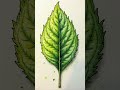 Can You Learn Colored Pencil Art Even If You Suck at Drawing?
