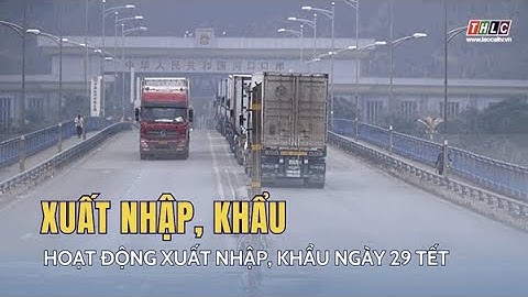 Hoạt động xuất, nhập khẩu ngày 29 tết  | THLC