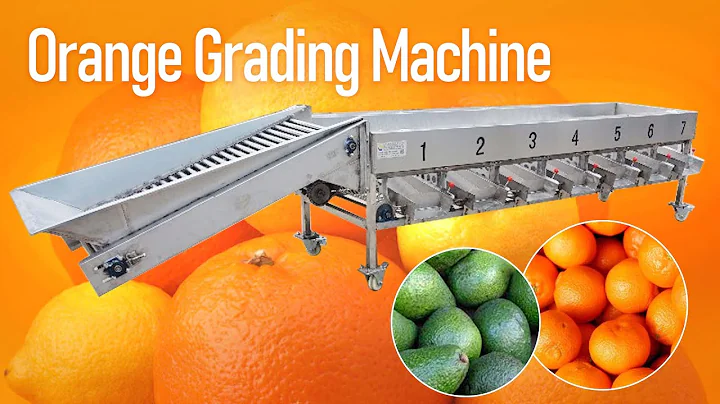 Orange grading machine | Fruit size sorting machine