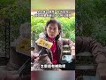 關於少子化問題