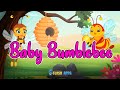 Baby Bumblebee Nursery Rhymes by EFlashApps