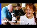 Family Makes A Tough Decision About Adopting A Dog | Pit Bulls & Parolees