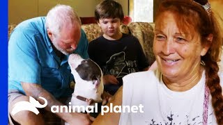 Family Makes A Tough Decision About Adopting A Dog | Pit Bulls & Parolees