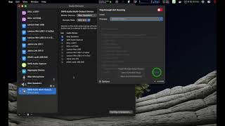 Multiple Output with SWB Audio Capture screenshot 5