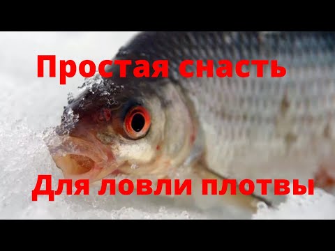 Простая и "рабочая" снасть для ловли плотвы зимой.