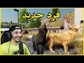 حياة الذيب أونلاين 1 عالم جديد وبداية تكوين قطيع الذئاب Wolf Quest 
