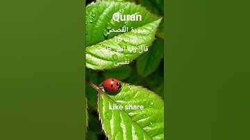#القران_الكريم #تلاوه_خاشعه #قال رب انیی ظلمت نفسی#الشيخ محمود الشحات #foryou