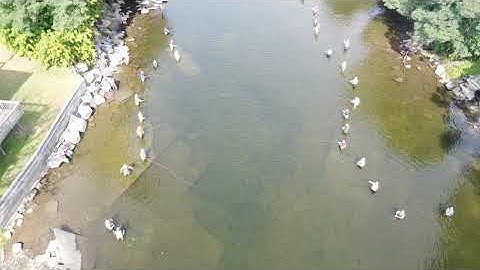 Salmon River DJI drone video