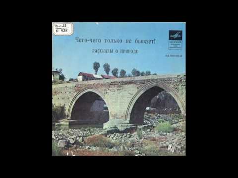 Чего-чего только не бывает! Рассказы о природе. А. Дитрих. Д-00031459. 1971 Чего-чего только не бывает! Рассказы о природе. А. Дитрих. Д-00031459. 1971