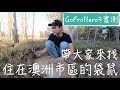 GoPro Hero7實測｜住在澳洲市區的袋鼠｜澳洲打工度假｜【澳洲生活Vlog】