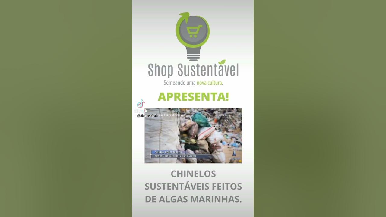 CHINELO SUSTENTÁVEL FEITO DE ALGAS! #shorts #sustentabilidade #deusnocomando - YouTube