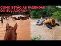 Veja como esto as fazendas do rio grande do sul no alagamento