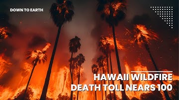 How is the wildfire going to impact the beautiful Maui Island | Hawaii Wildfire