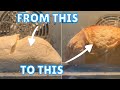 Sourdough Bread Baking Timelapse - 45 minutes of insane Ovenspring
